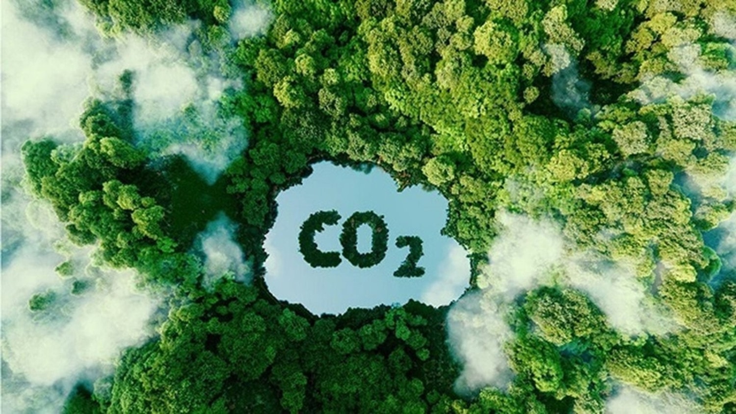 Chuẩn bị nguồn nhân lực cho thị trường tín chỉ carbon. Nguồn:ITN