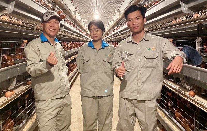 Sinh viên ngành chăn nuôi tham gia thực tập nghề nghiệp tại trang trại