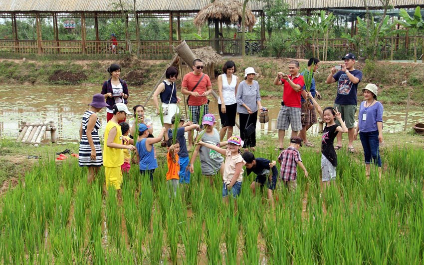 Đồng Nai phát triển du lịch nông nghiệp, nông thôn. Ảnh: ITN 