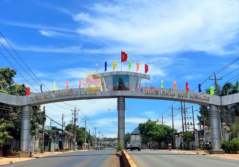 Công ty TNHH Xây dựng Cầu đường Đại Phát thường xuyên một mình một ngựa trúng các gói thầu đầu tư công tại tỉnh Bình Phước