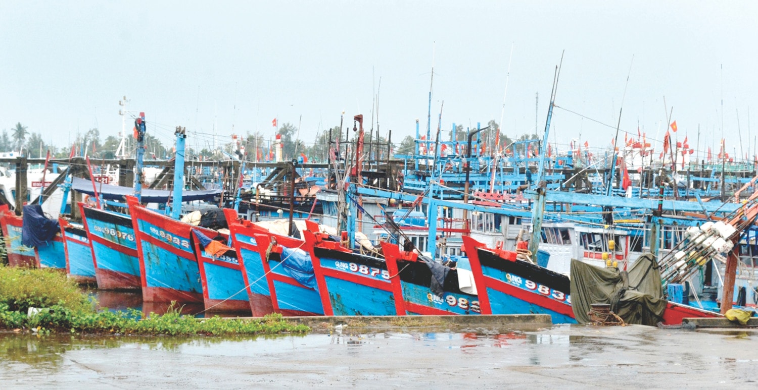  Nguồn: ITN