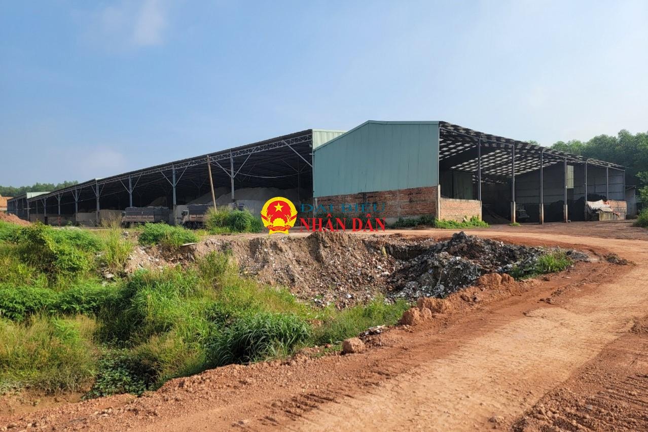 Đồng Nai: Chủ đầu tư Cụm công nghiệp Tân An ở huyện Vĩnh Cửu xây nhiều công trình không phép trên đất cây xanh -0