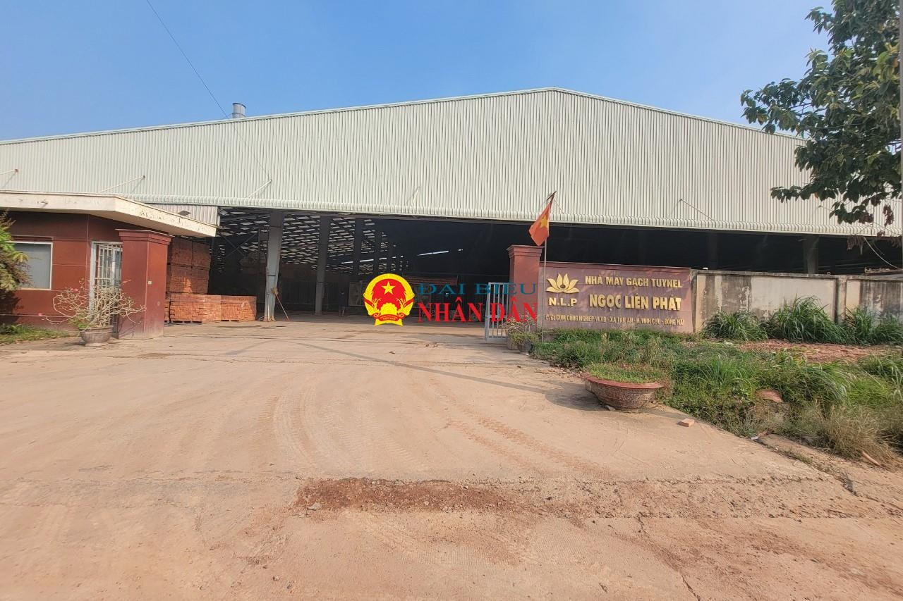 Đồng Nai: Chủ đầu tư Cụm công nghiệp Tân An ở huyện Vĩnh Cửu xây nhiều công trình không phép trên đất cây xanh -0