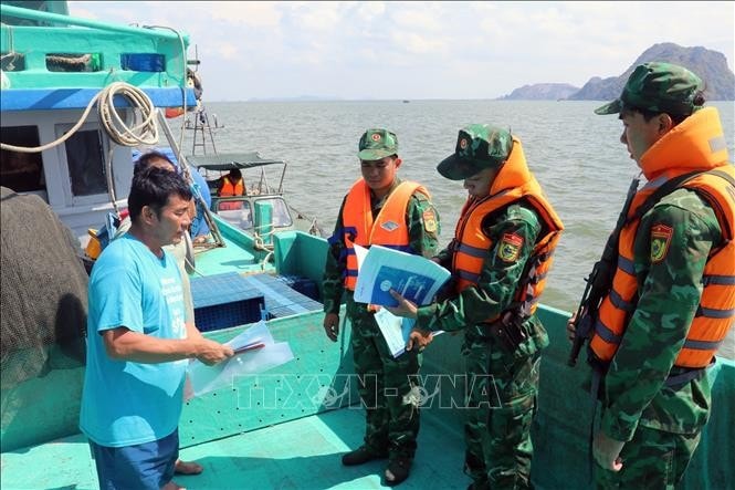 Border guard officers examine fishing vessels' operation. (Photo: VNA) Kien Giang follows EC recommendations to combat IUU fishing -0