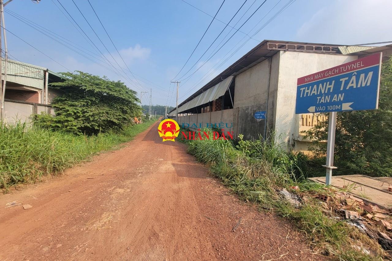 Đồng Nai: Chủ đầu tư Cụm công nghiệp Tân An ở huyện Vĩnh Cửu xây nhiều công trình không phép trên đất cây xanh -0