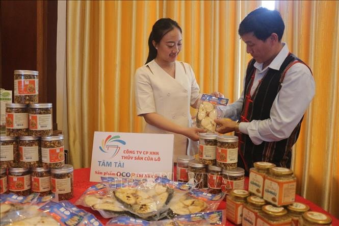 Nghệ An và Đắk Lắk hợp tác phát triển du lịch -0