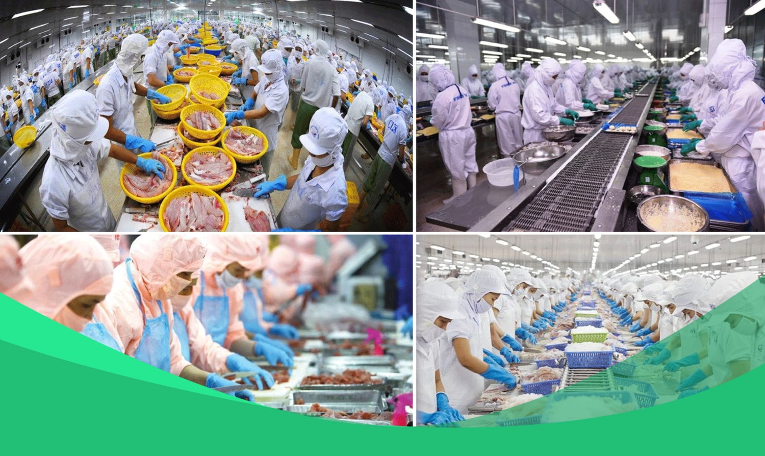 Bảo đảm chất lượng, an toàn thực phẩm là hành trình không có vạch đích -0