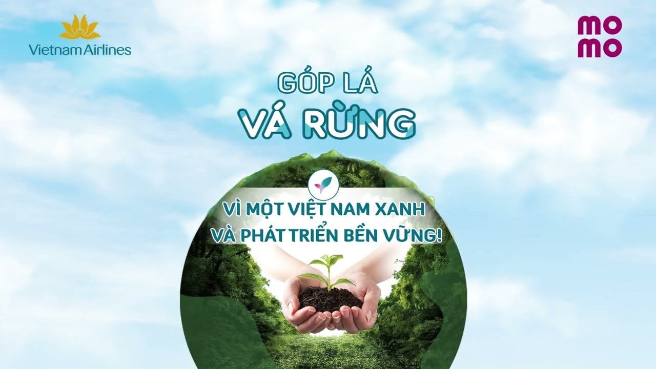 Chiến dịch phục hồi 50 hecta rừng của Vietnam Airlines -0