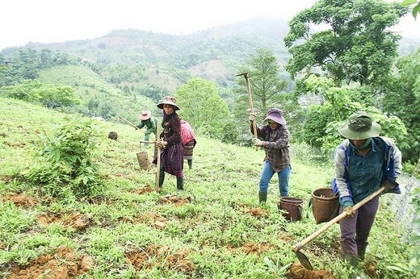 Chính sách hỗ trợ đất đai cho hộ nghèo, hộ cận nghèo tại vùng đồng bào dân tộc thiểu số và miền núi? -0