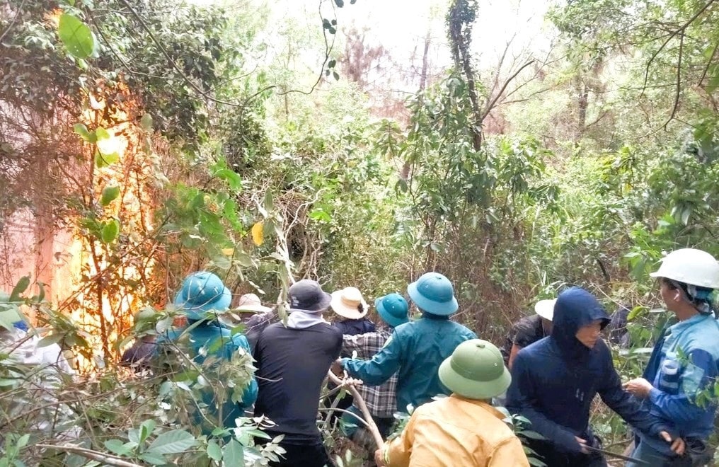 Nghệ An: Dập lửa cứu rừng, hai cán bộ bị thương nặng -0
