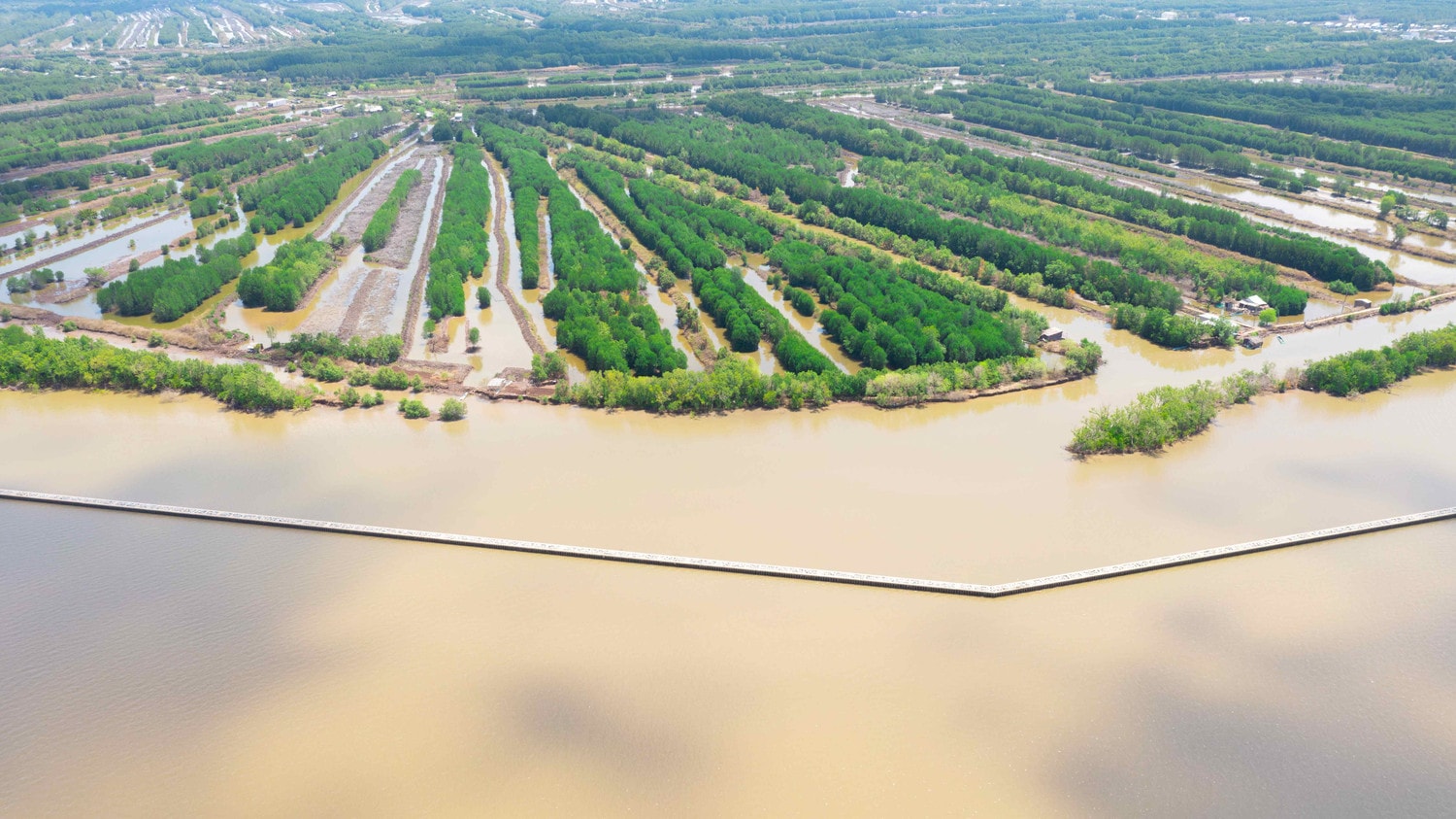 Ký kết thỏa ước hỗ trợ tỉnh Cà Mau giải quyết tác động của biến đổi khí hậu -0
