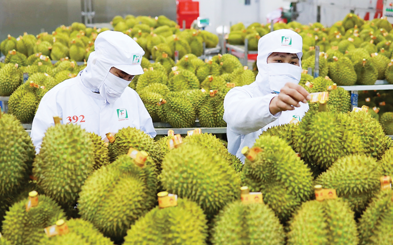 Ảnh minh họa. Nguồn:ITN