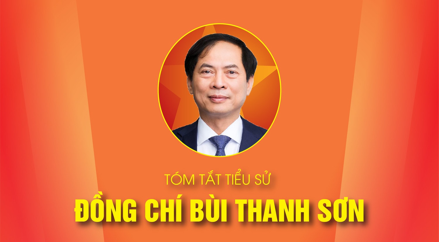 TÓM TẮT TIỂU SỬ ĐỒNG CHÍ BÙI THANH SƠN