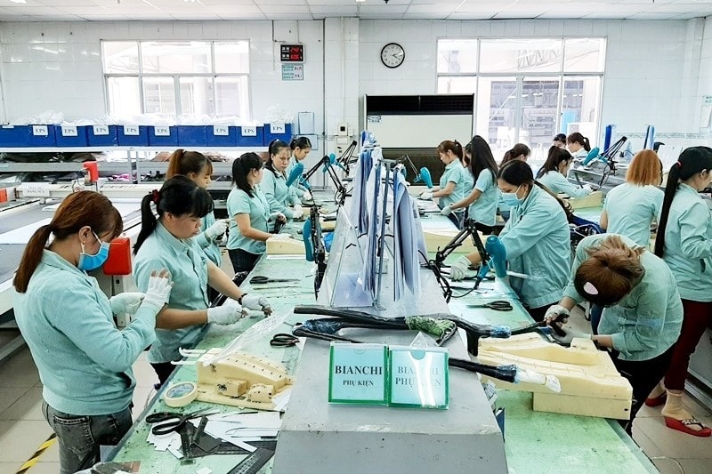 Đồng Nai: Công ty TNHH Cự Thành ngang nhiên sử dụng hàng nghìn m2 đất không đúng mục đích -0