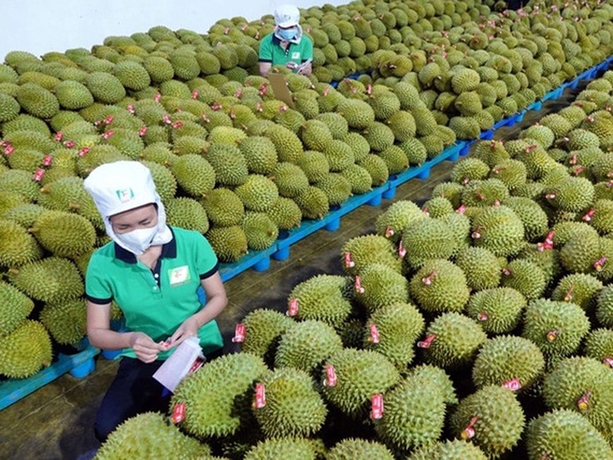 Tin vui xuất khẩu nông sản sang Trung Quốc -0