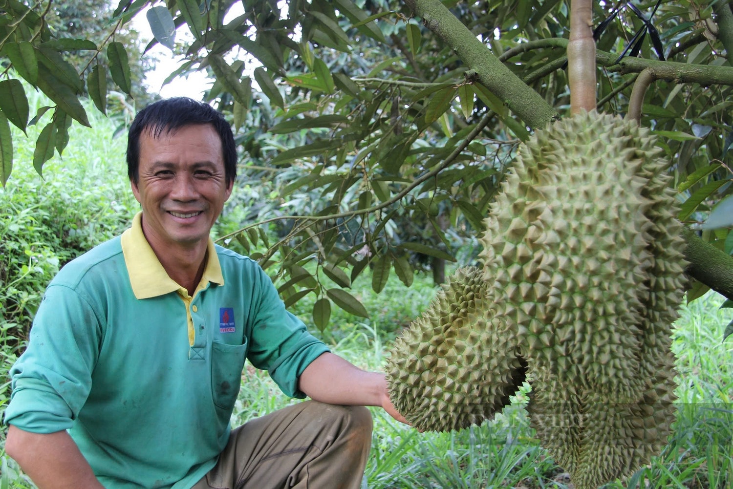 Kết nối thành công, phát triển bền vững cùng thủ phủ sầu riêng -0