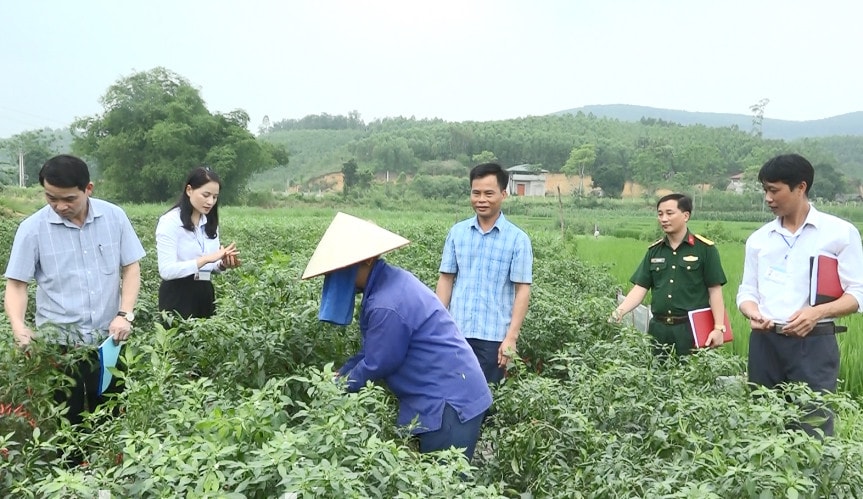 Đoàn giám sát HĐND huyện Sơn Dương khảo sát mô hình phát triển kinh tế tại thôn Đông Ninh, xã Đông Thọ 