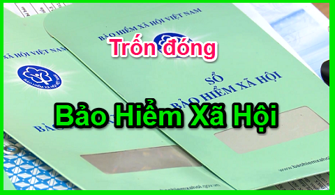 Biện pháp xử lý đối với hành vi trốn đóng bảo hiểm xã hội bắt buộc là gì? -0