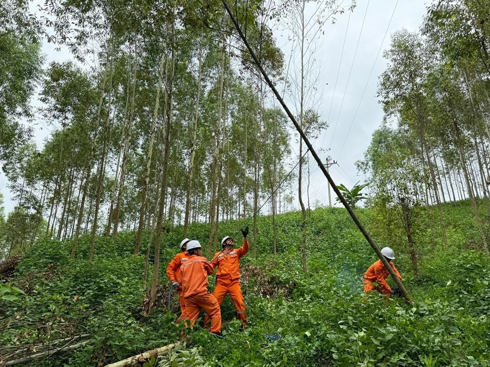 EVNNPC bảo đảm cung cấp điện dịp nghỉ lễ Quốc khánh 2.9.2024 -0