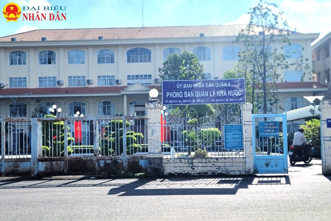 TP. Hồ Chí Minh: Vì sao kiến nghị kiểm điểm trách nhiệm lãnh đạo Phòng LĐTB-XH Quận 8 cùng nhiều cá nhân khác? -0