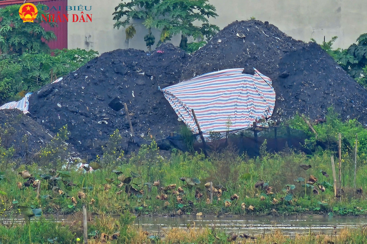 Bắc Ninh: Ô nhiễm nghiêm trọng tại làng tái chế giấy Phong Khê -0