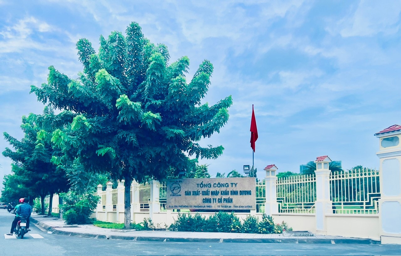 Bình Dương: Đấu giá 10 khu đất công trong năm 2024