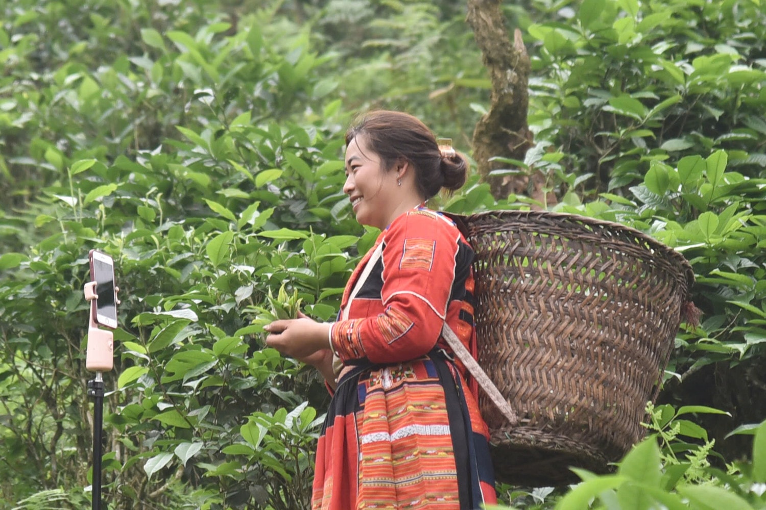 Làm chủ kinh tế giúp phụ nữ nâng cao vị thế -0