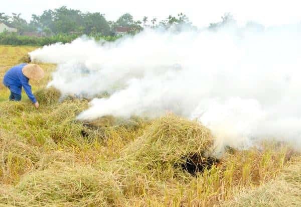 Phát động cuộc thi Sáng tạo xanh – Sống trong lành -0
