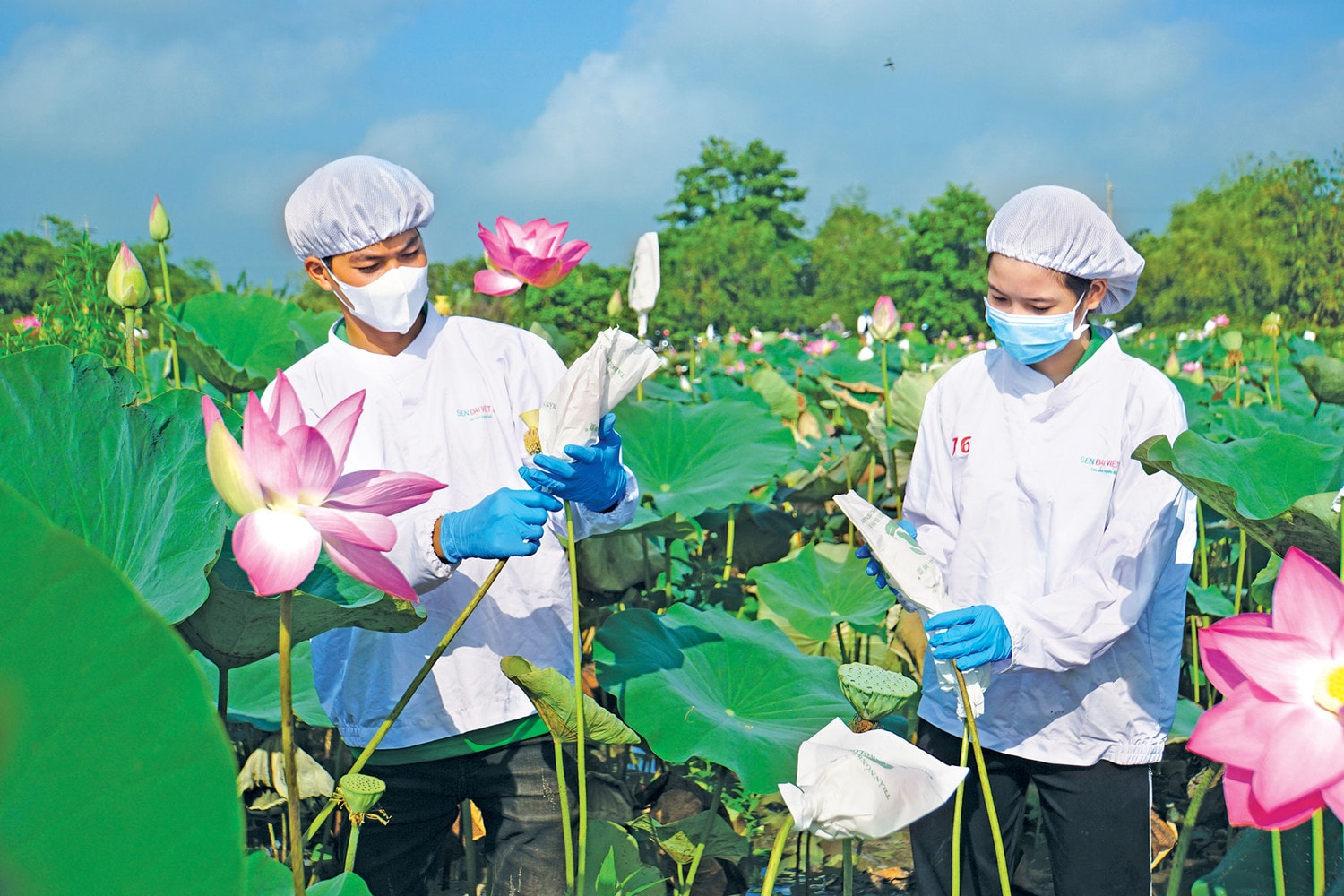 TP. Cao Lãnh là trung tâm kinh tế, chính trị, hành chính của Đồng Tháp -0