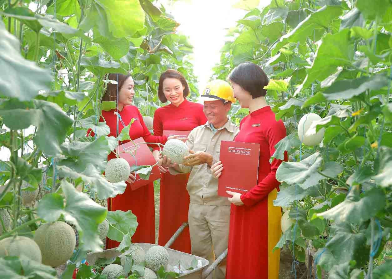 A2.5: Cùng người nông dân xây dựng nền nông nghiệp xanh, sạch, hiện đại. Ảnh: Đức Kiên
