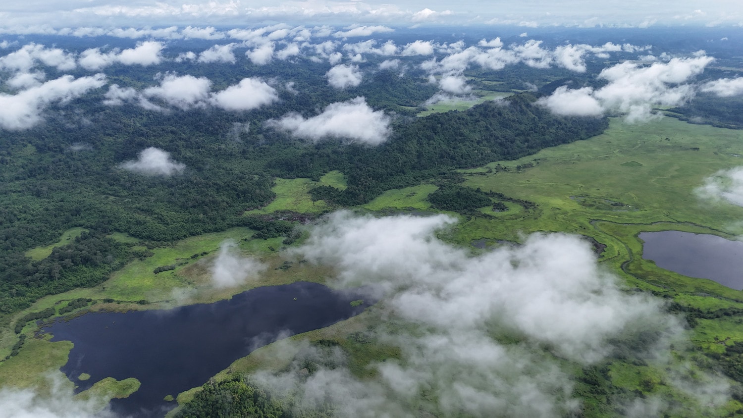 VQG Cát Tiên được Liên minh Bảo tồn Thiên nhiên quốc tế (IUCN) trao danh hiệu Danh lục xanh Ảnh: Thạc Hiếu