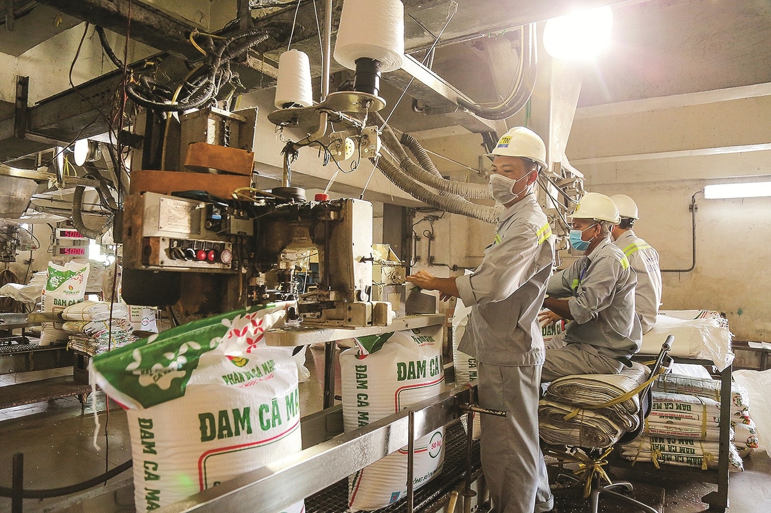 Petrovietnam: Sẵn sàng tâm thế cho chặng đường phát triển mới -0