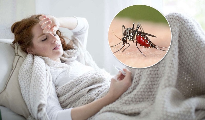 Dấu hiệu nhận biết giúp điều trị bệnh sốt rét ác tính nguy hiểm -0