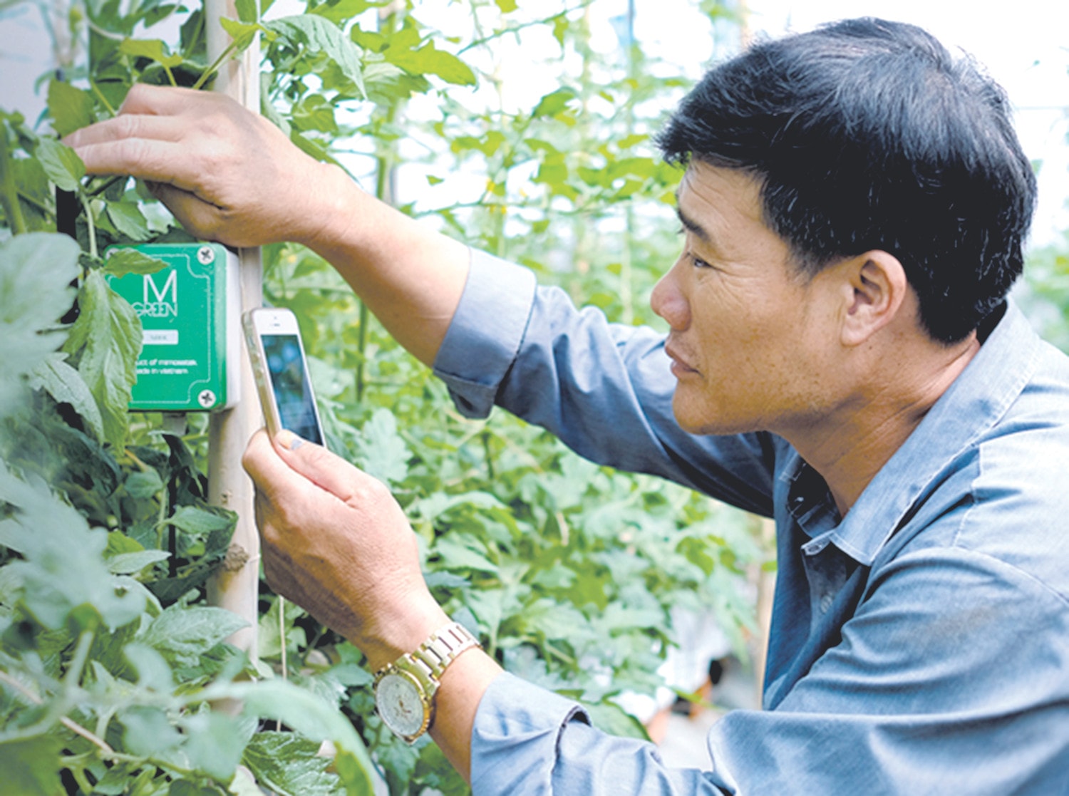 Chuyển đổi số trong nông nghiệp, nông thôn là động lực để xây dựng nông thôn hiện đại Nguồn: ITN	