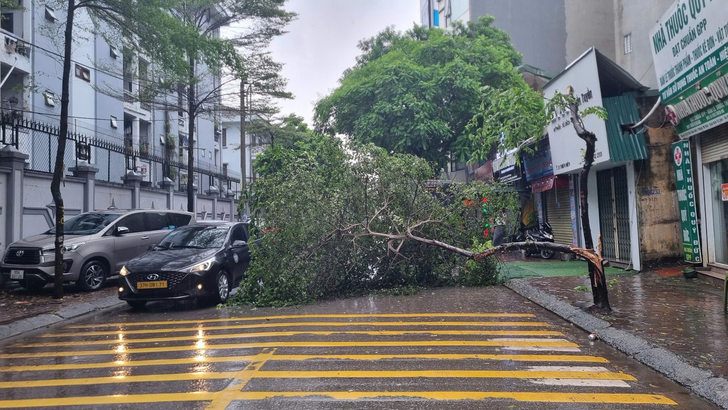 Hà Nội: Mưa lớn tập trung từ chiều 7.9, khuyến cáo người dân không ra khỏi nhà -1
