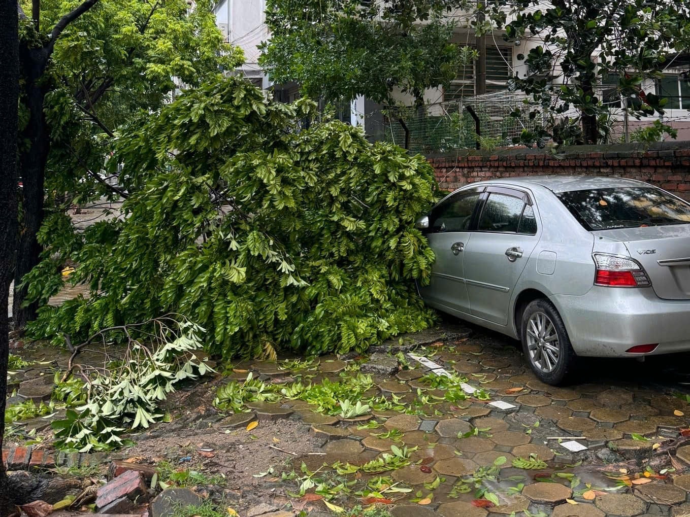 Hà Nội: Mưa lớn tập trung từ chiều 7.9, khuyến cáo người dân không ra khỏi nhà -0