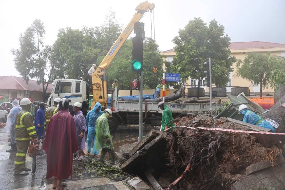 Chiều 8.9, cán bộ công nhân viên Công ty TNHH một thành viên công viên cây xanh Hà Nội xử lý cây cổ thụ đổ trên phố Nguyễn Thái Học. Ảnh: Việt Lâm