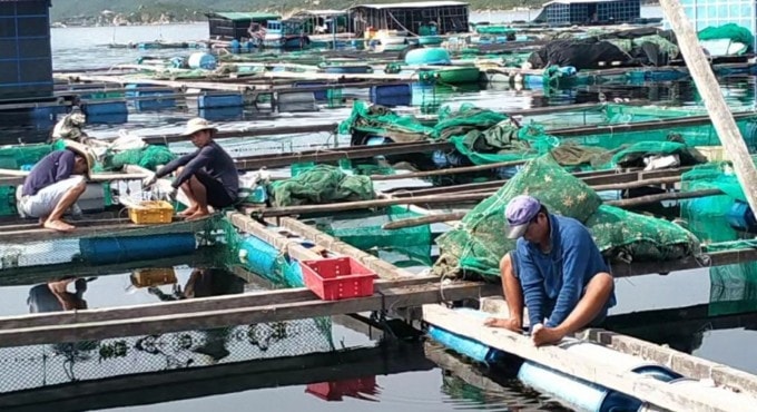 nuoi-trong-thuy-san-4-094702_44.jpg