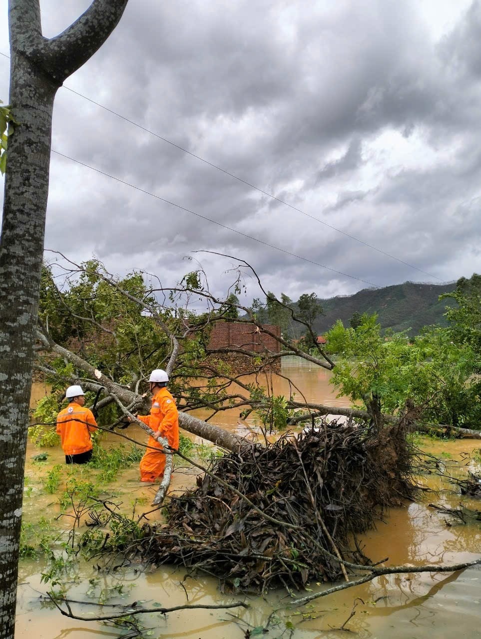 Điện lực Bắc Giang khắc phục hậu quả do bão gây ra. Ảnh NPC..jpg