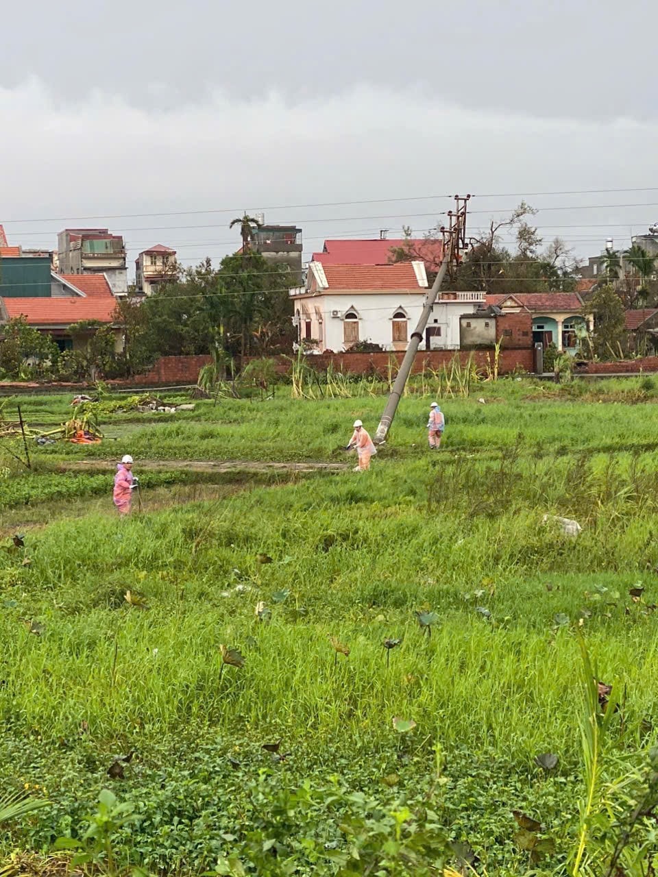 Xung kích Ninh Bình tại hiện trường. Ảnh NPC.jpg