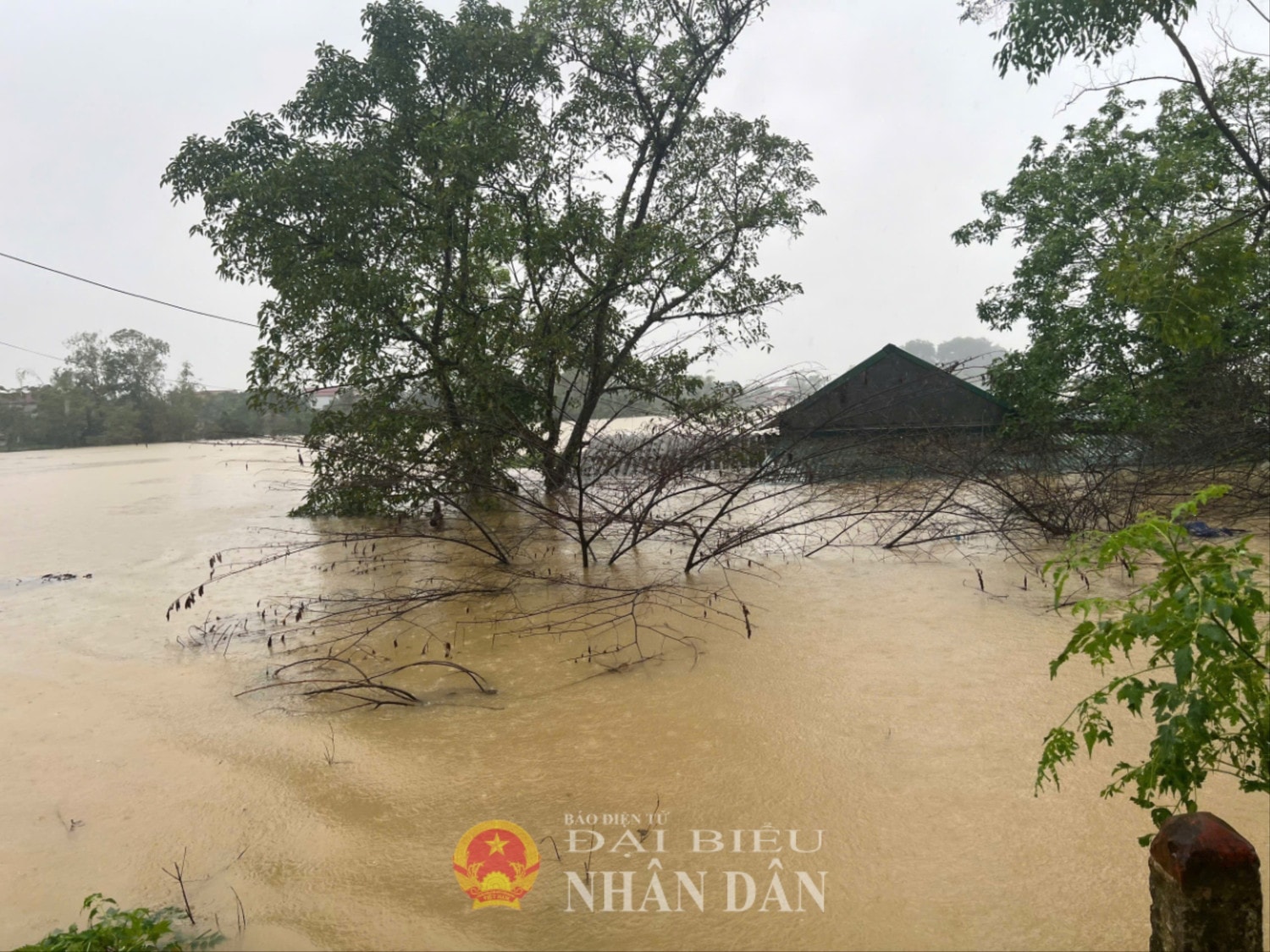 Chương Mỹ 2.jpeg