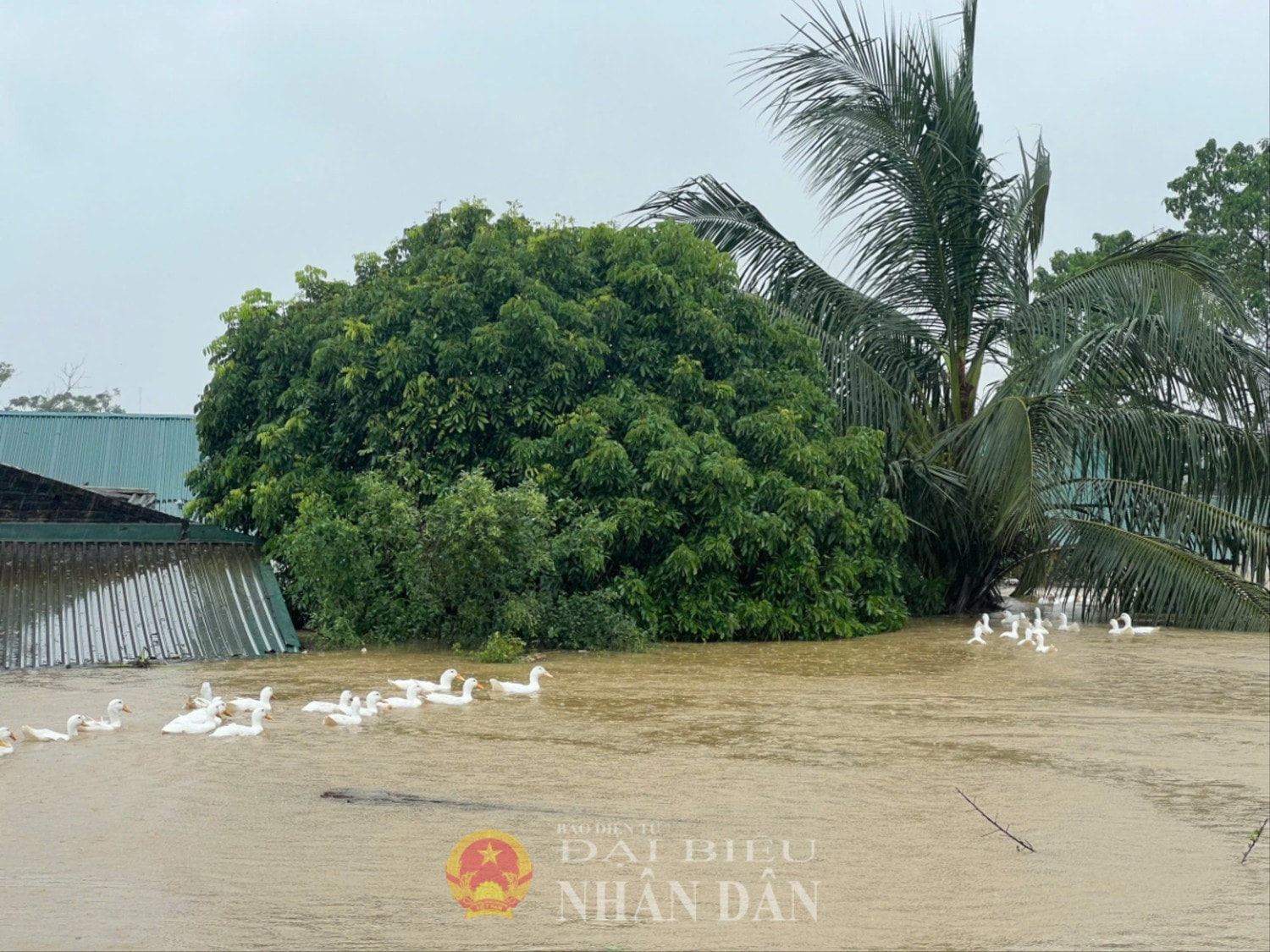 Chương Mỹ 1.jpeg