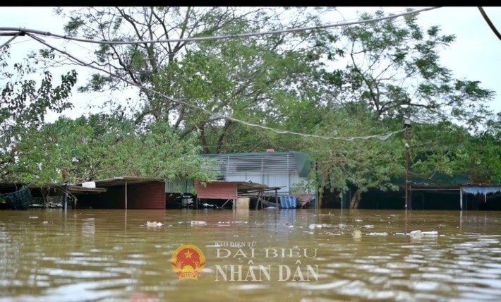 ngập 1.jpg
