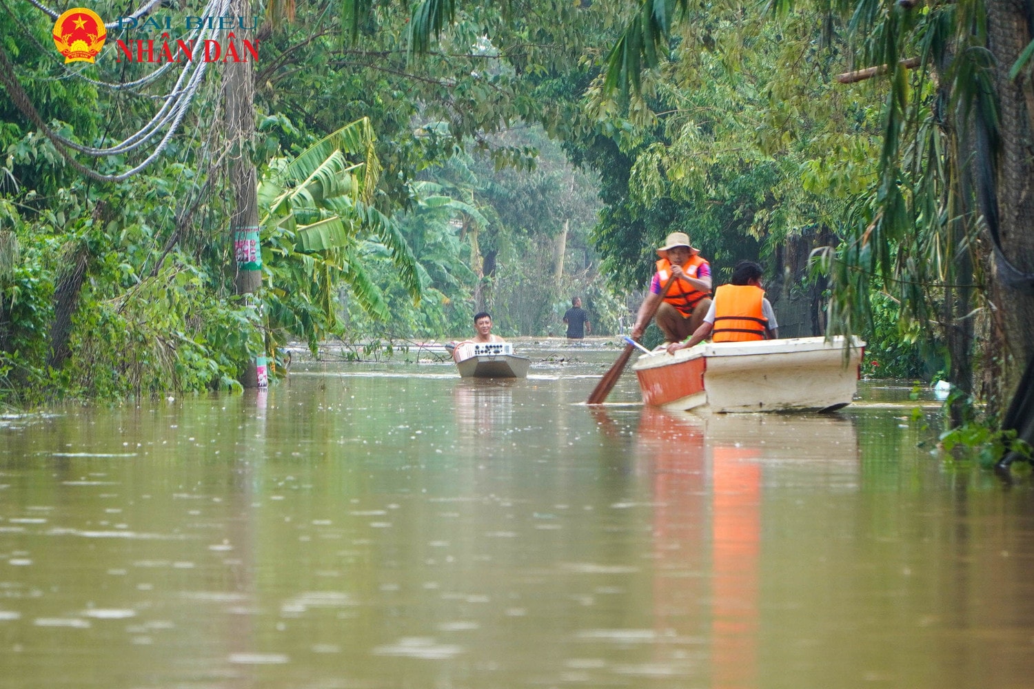 ngap lut_song Hong_Nhat Tan (8).jpg