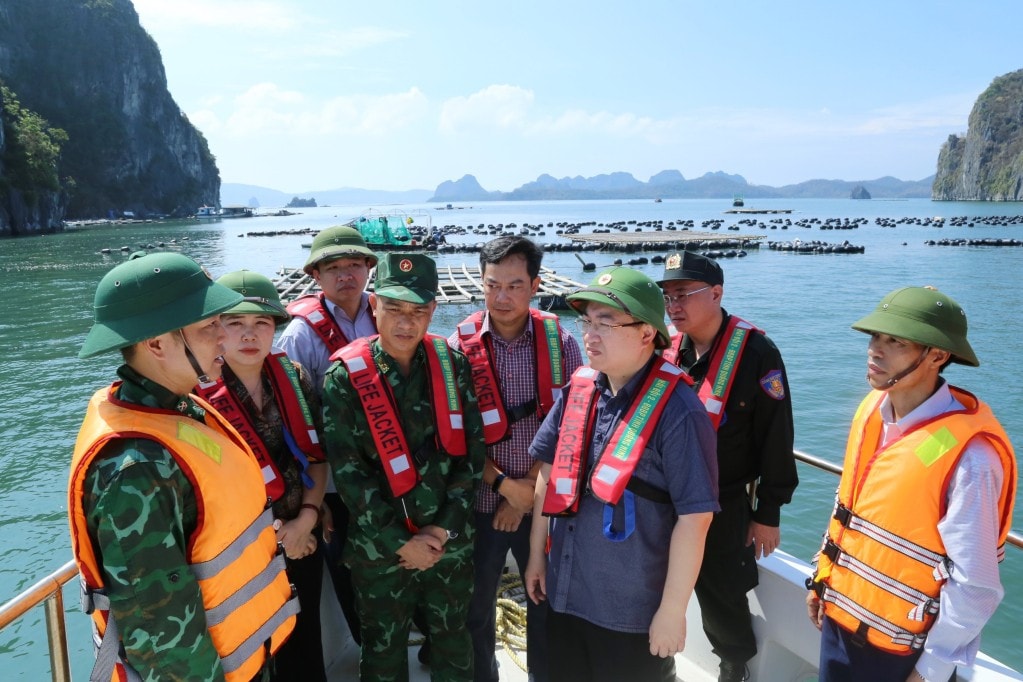 Phó Bí thư Tỉnh ủy, Trưởng Đoàn ĐBQH tỉnh Đặng Xuân Phương kiểm tra, nắm bắt tình hình thực tế trên vùng biển huyện Vân Đồn