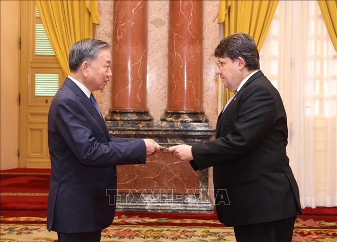 Tổng Bí thư, Chủ tịch nước Tô Lâm nhận Quốc thư từ Đại sứ Cộng hòa Áo tại Việt Nam Philippo Agathonnos. Ảnh: Lâm Khánh - TTXVN