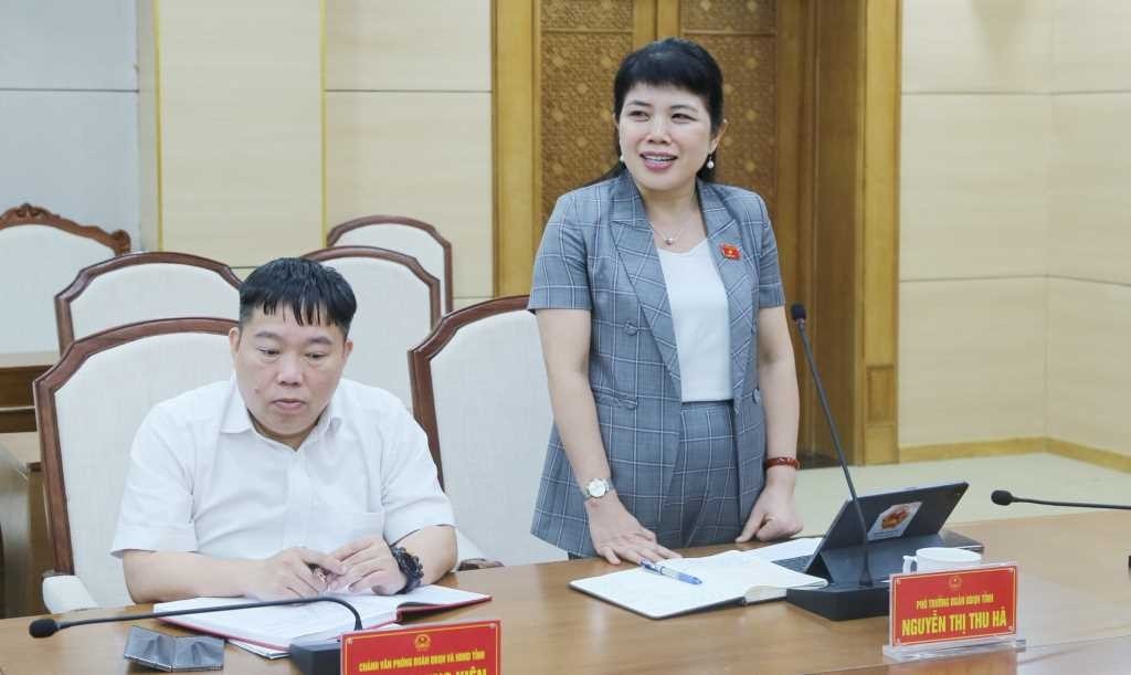 Phó Trưởng Đoàn Đại biểu Quốc hội tỉnh Nguyễn Thị Thu Hà phát biểu tại buổi gặp mặt.