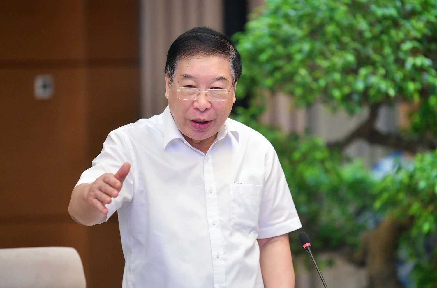 Nguyên Phó Chủ nhiệm Ủy ban Pháp luật, PGS.TS Lê Minh Thông phát biểu