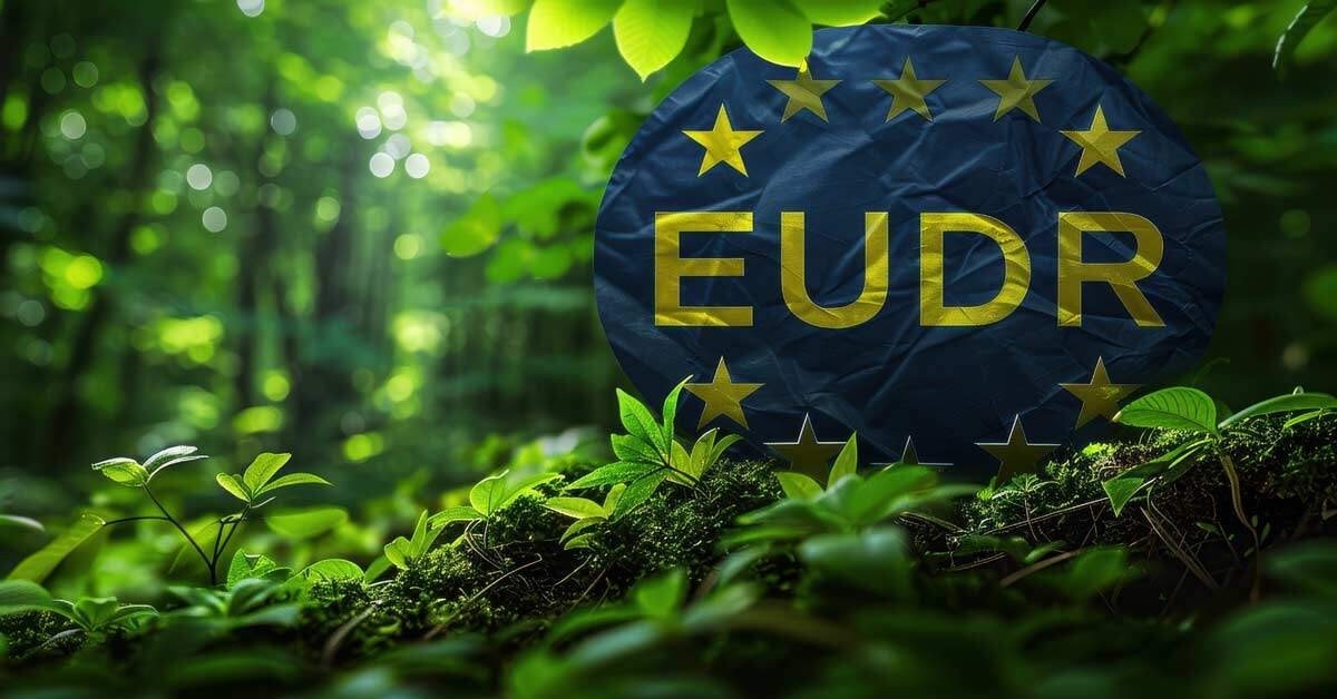 eudr-in-a-forest.jpg