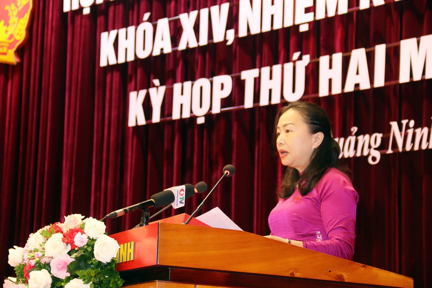 Phó Chủ tịch Thường trực HĐND tỉnh Vi Ngọc Bích phát biểu khai mạc kỳ họp